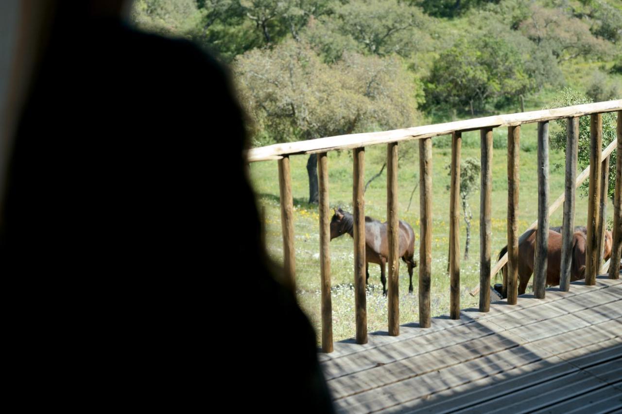 Monte Gois Country House E Spa Curvatos Eksteriør bilde