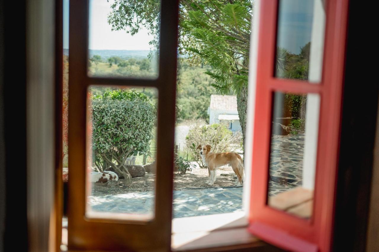 Monte Gois Country House E Spa Curvatos Eksteriør bilde