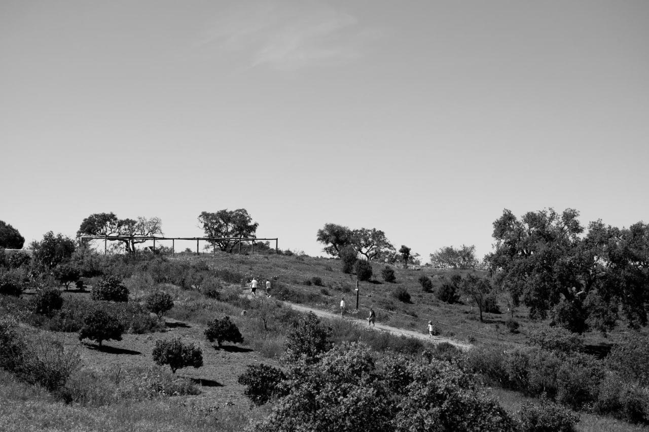 Monte Gois Country House E Spa Curvatos Eksteriør bilde